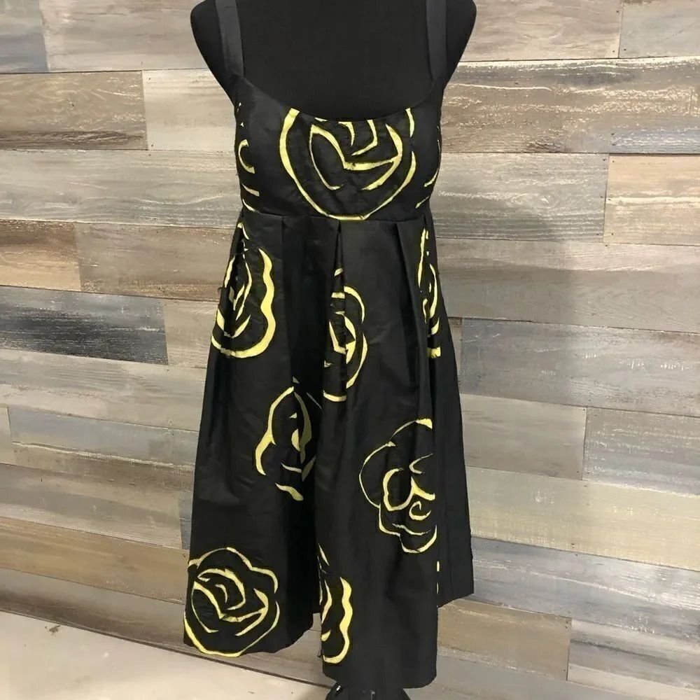 International Concepts empire silk dress NWT 8
